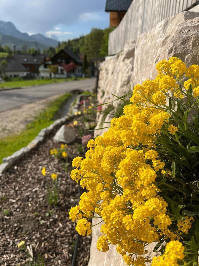 Ferienwohnungen Kalss Nahe Altaussee Bad Aussee Ngoại thất bức ảnh